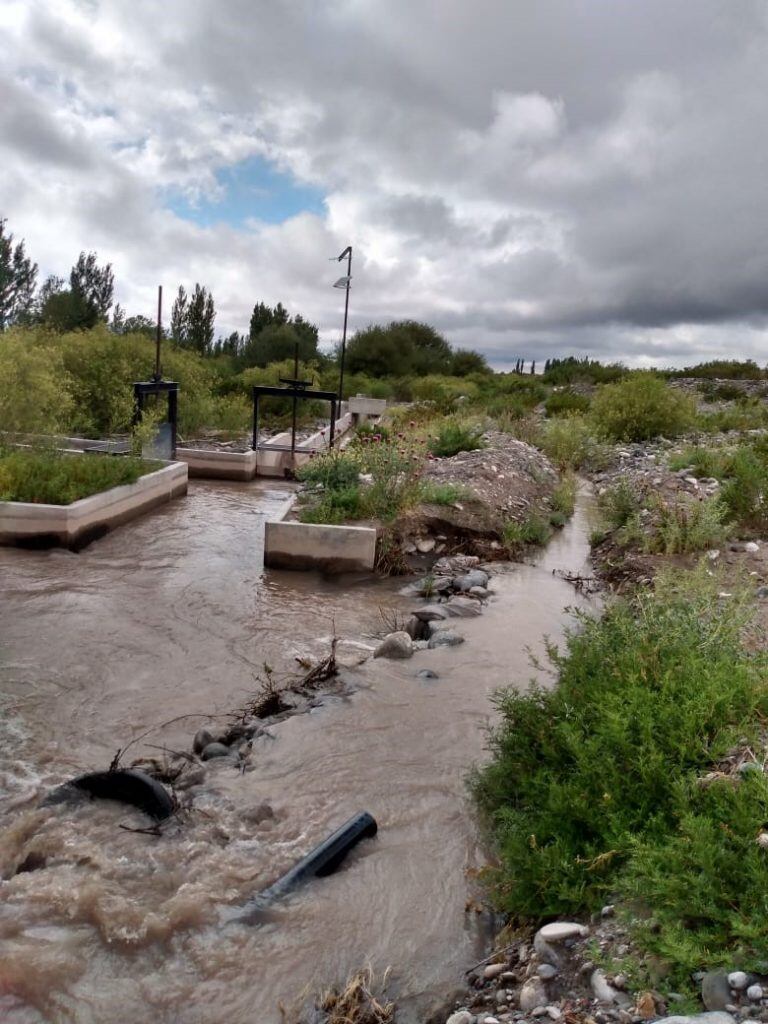 Robo de agua en el río Atuel