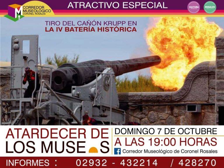 Actividades de los museos