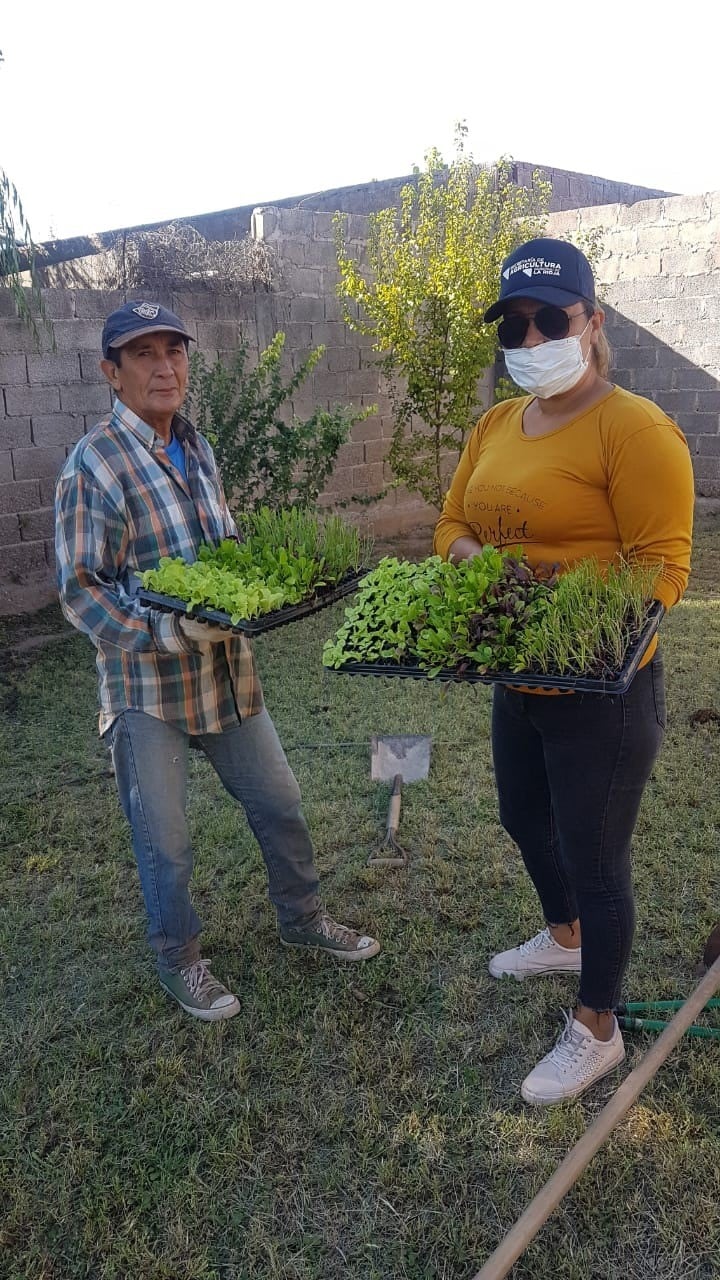 Programa Huertas Provinciales - Secretaría de Agricultura La Rioja