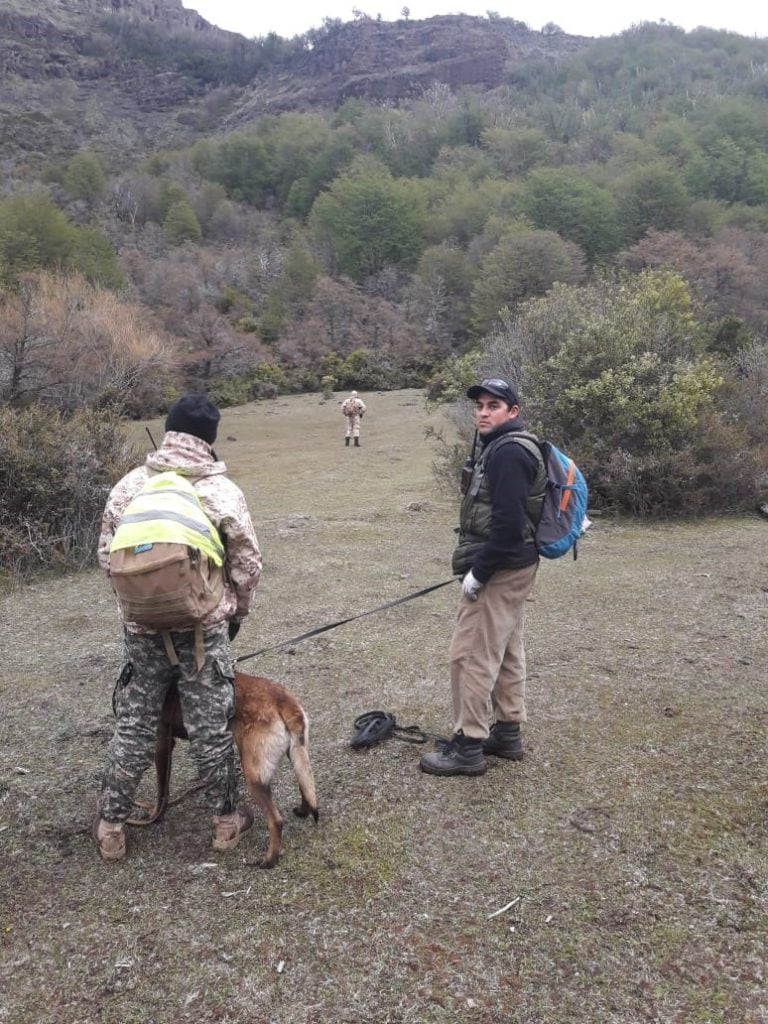 La Diviisión Canes participa de la búsqueda.