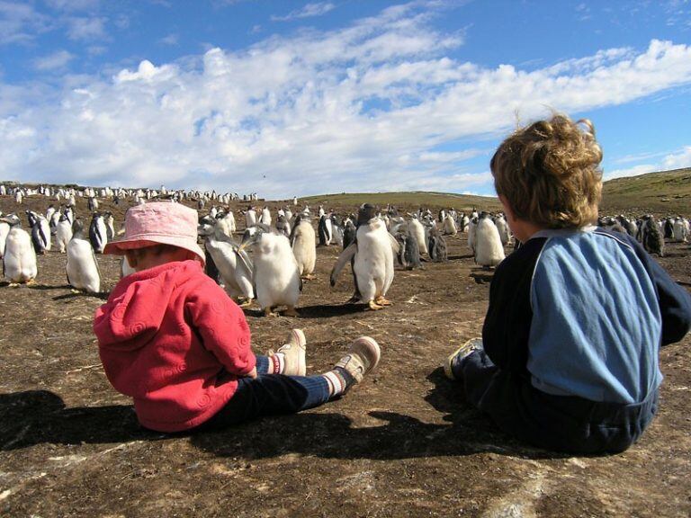 Niños de zonas rurales de las islas reciben educación pública y gratuita mediante el programa Camp Education.