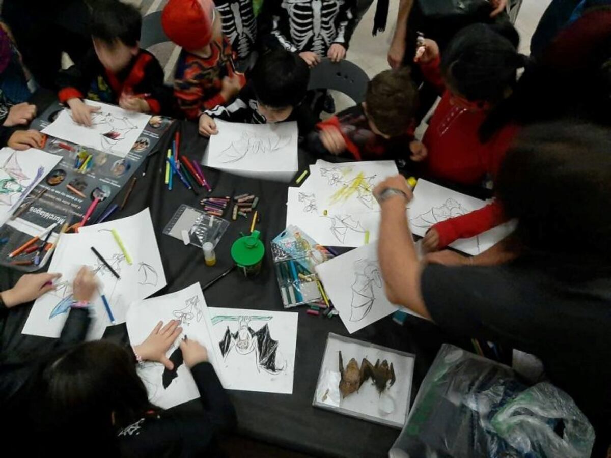 ¡Visitá el Museo de Ciencias Naturales este Halloween!
