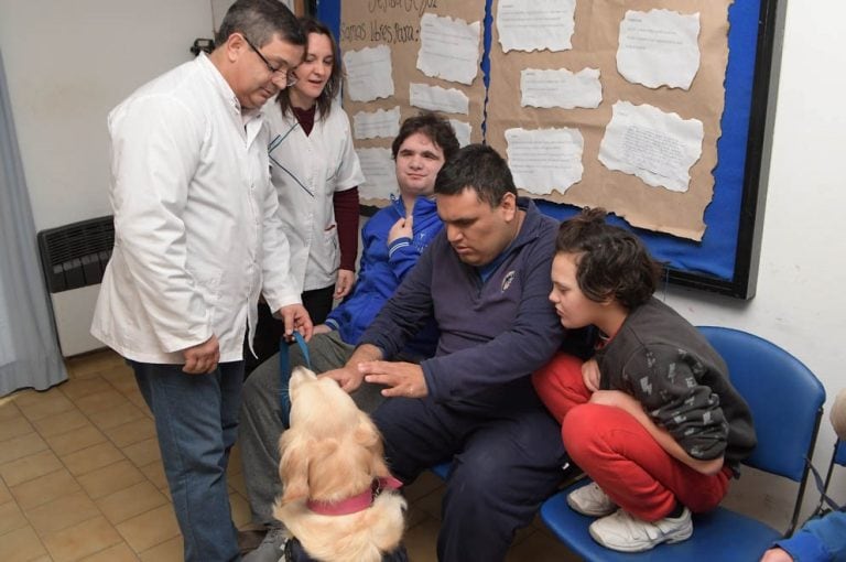 Lola y Zoe, las perritas de la División Canes de la Policía que ayudan en su terapia a chicos con discapacidad. (Prensa Gobierno)