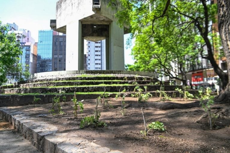 Plantines en Plaza Italia (Municipalidad de Córdoba)