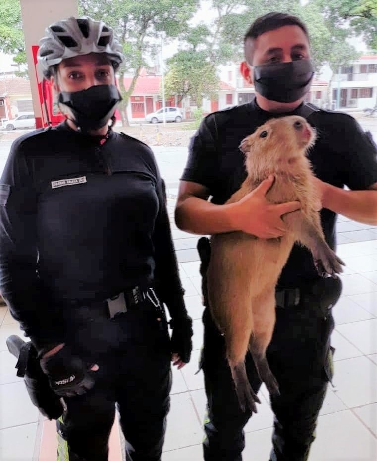 La cabo Ariana Zigarán y el sargento Nelson Fernández, miembros del cuerpo Bicipolicía de la Unidad Regional N° 4 de Ledesma.