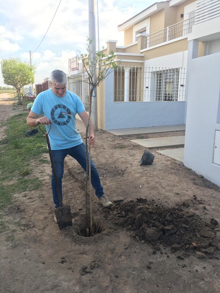 Son los propios profesionales los encargados de realizar la plantación de los árboles elegidos por los propietarios de cada obra terminada