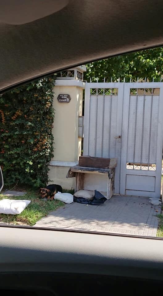 Los vecinos le construyeron una casita con cajas.