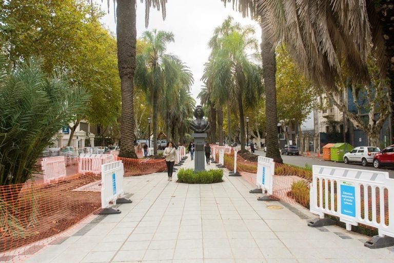 Remodelación arbolado y vegetación de boulevard Oroño (Flickr: Manolo74)