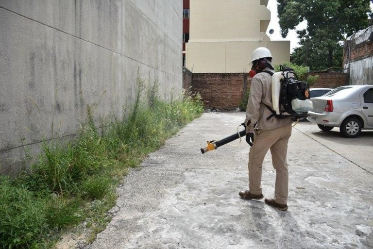 Se incrementan los trabajos de prevención contra el Dengue.