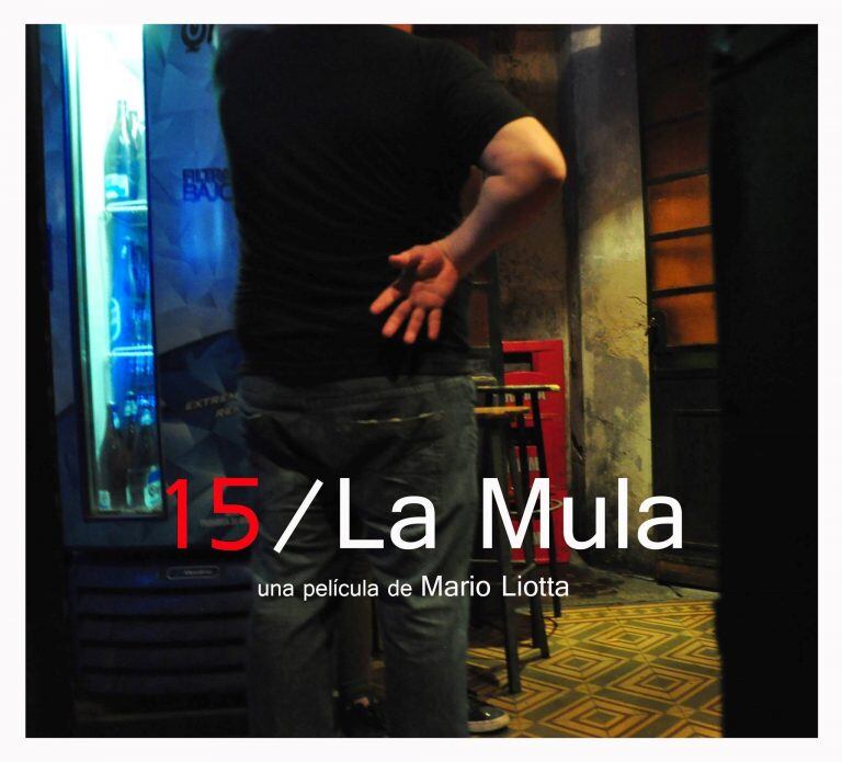 El afiche de lo la película "15 / La Mula"