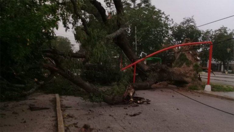 Temporal de viento y lluvia en Santiago del Estero, provocó destrozos