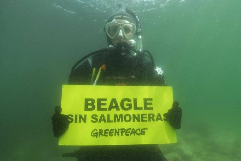 No a la Salmoneras en el Beagle