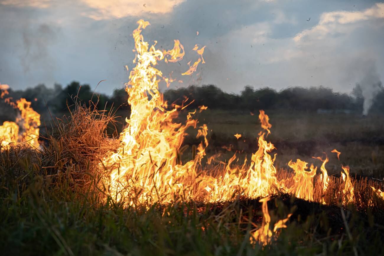 La integración de las alertas generadas por las cámaras de videovigilancia en los sistemas de gestión de emergencias es fundamental para una respuesta rápida a los incendios forestales.