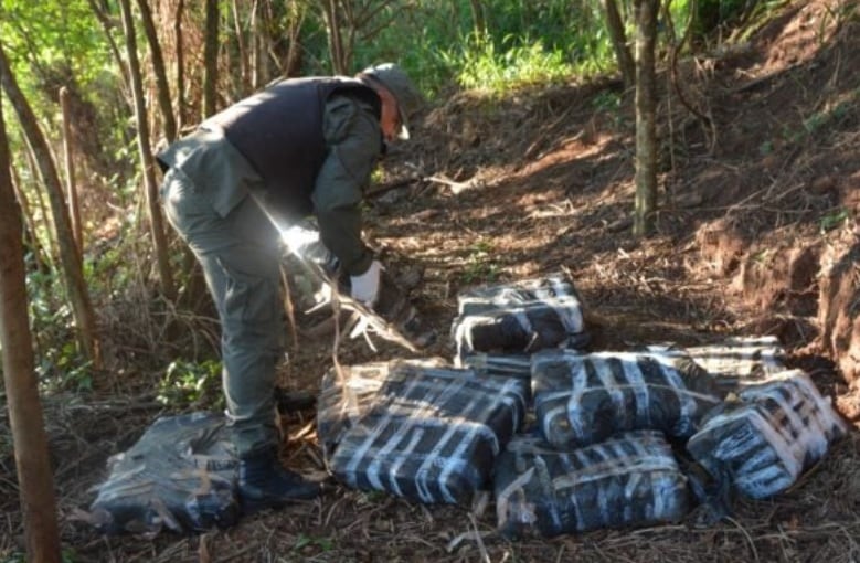 Secuestran marihuana en una zona de monte en Colonia Delicia.