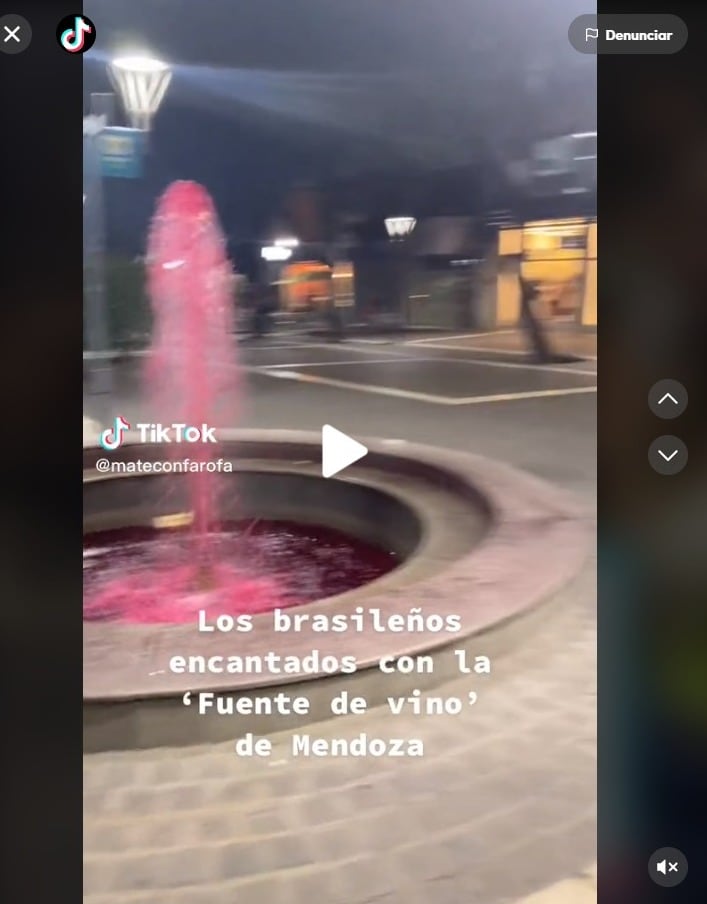 Se hizo viral un video de brasileros que se impactaron con una fuente mendocina