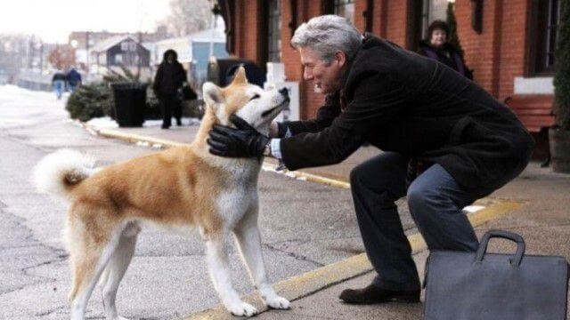 Películas sobre perros