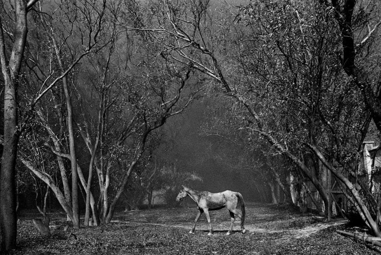 Foto de Sebastiao Salgado.