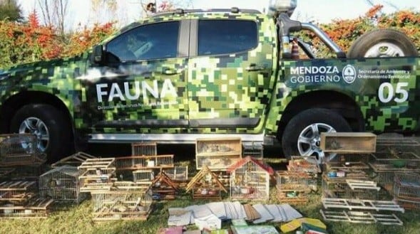 El Departamento de Fauna de la Dirección de Recursos Naturales Renovables de la cartera ambiental, en pleno trabajo.