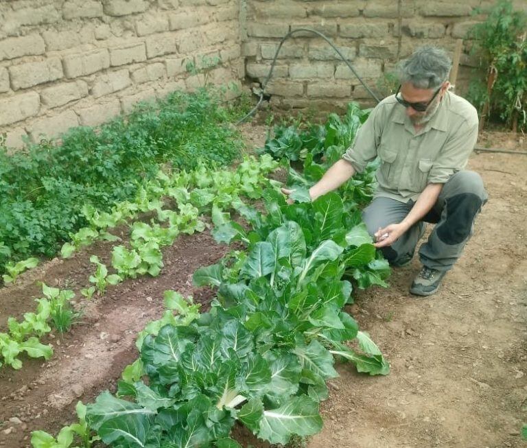 En las cuatro regiones de la provincia es factible la producción orgánica.