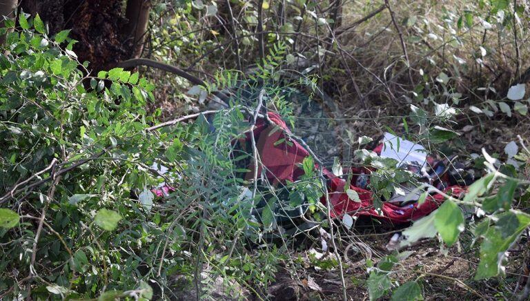 Hallaron a una adolescente atada a un árbol en San Luis.