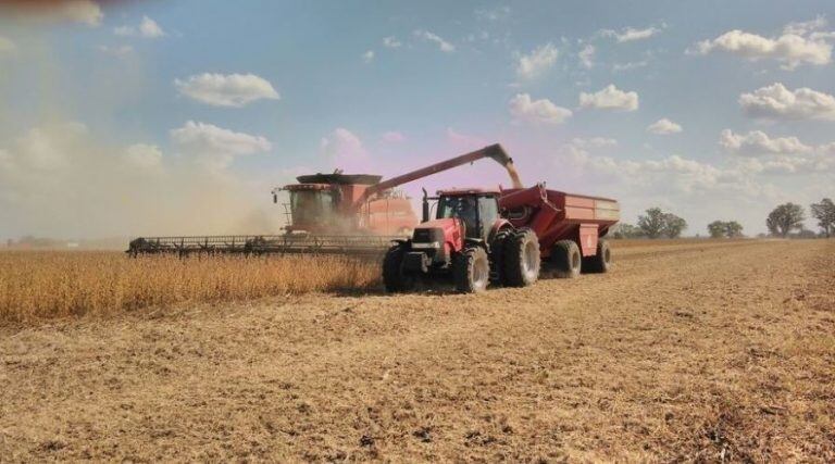 La sequía afectó la actividad del campo. (WEB).