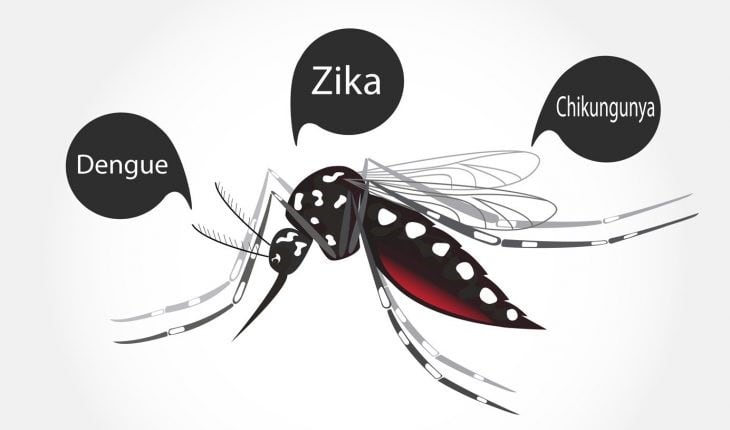 Campaña de prevención contra el dengue, zika y Chikungunya.