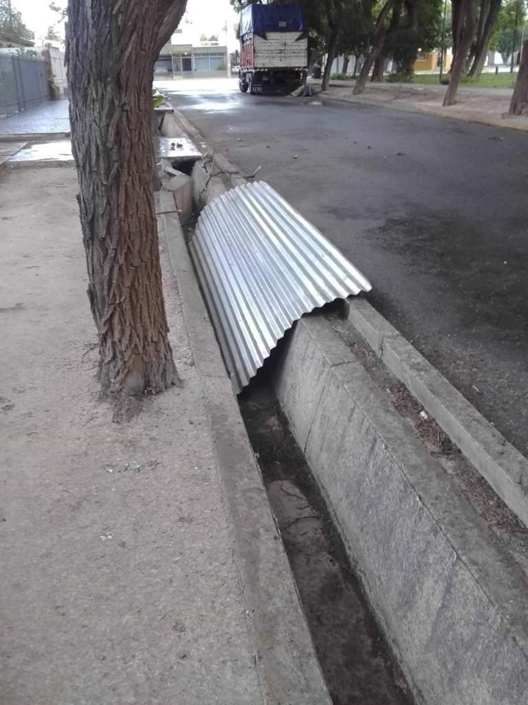 Los destrozos que dejó el viento sur.