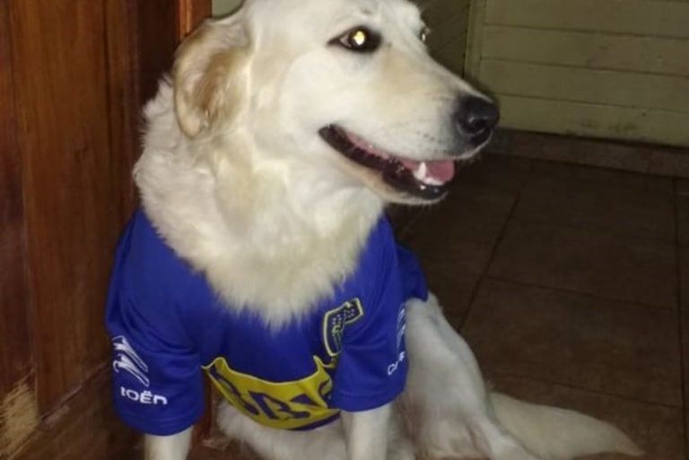 Hasta sus dos perros son hinchas de Boca Juniors.