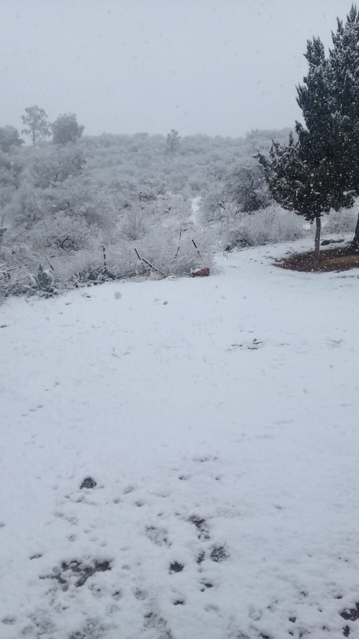 Las nevadas llegaron al sur provincia y agosto se despide con un paisaje vestido de blanco.