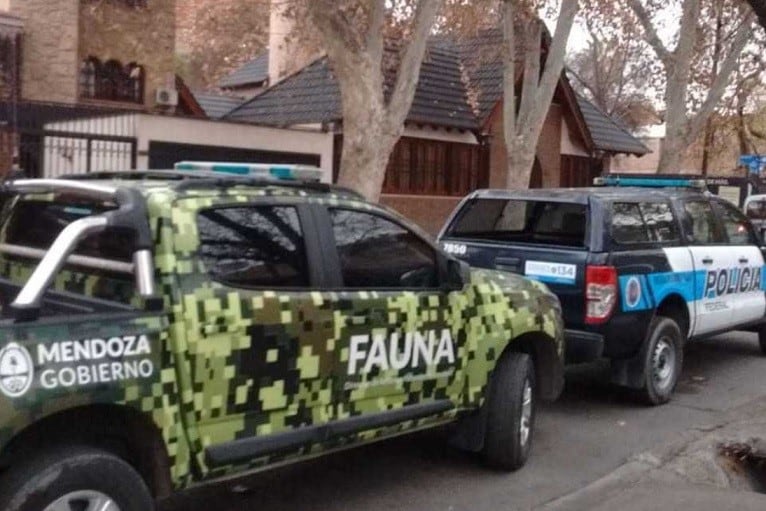 La Policía Federal llevó adelante un operativo en la propiedad, ubicada en Pueyrredon al 100, a fin de dar con elementos relacionados a la caza de animales, delito previsto por la Ley 22.421.