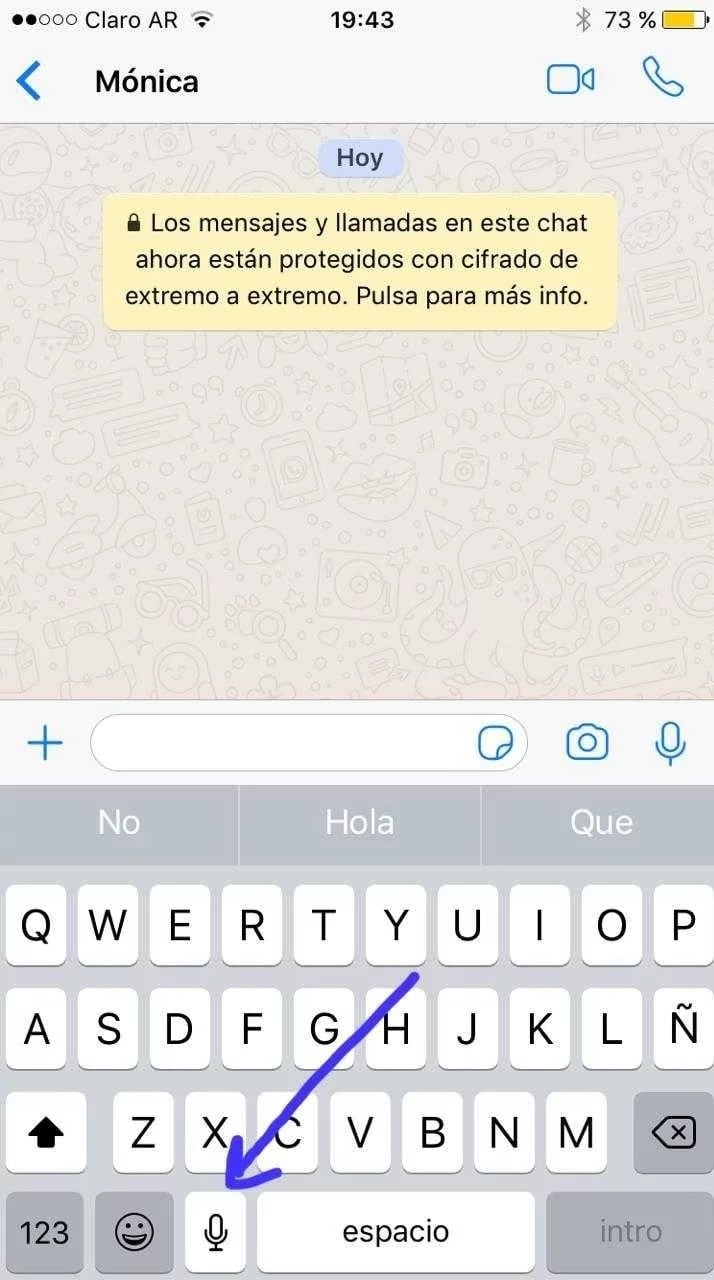 El micrófono que pasa voz a texto en Whatsapp (Web)