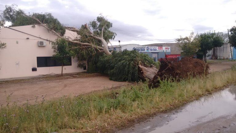 Temporal en Tres Arroyos, 1 de enero 2019