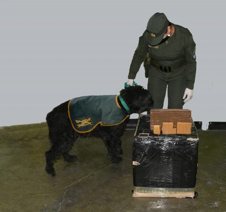 Operativo de Gendarmeria en Bariloche (Bariloche2000)