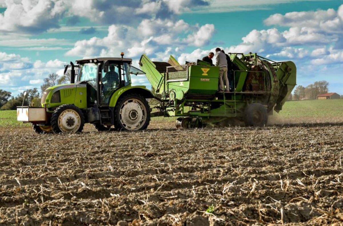 El campo, la apuesta oficial para salir de la recesión en 2019