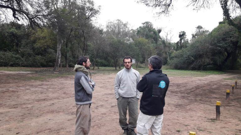 AUnque se sabe del movimiento de las mangas desde Paraguay, aún no fueron detectadas en territorio argentino.