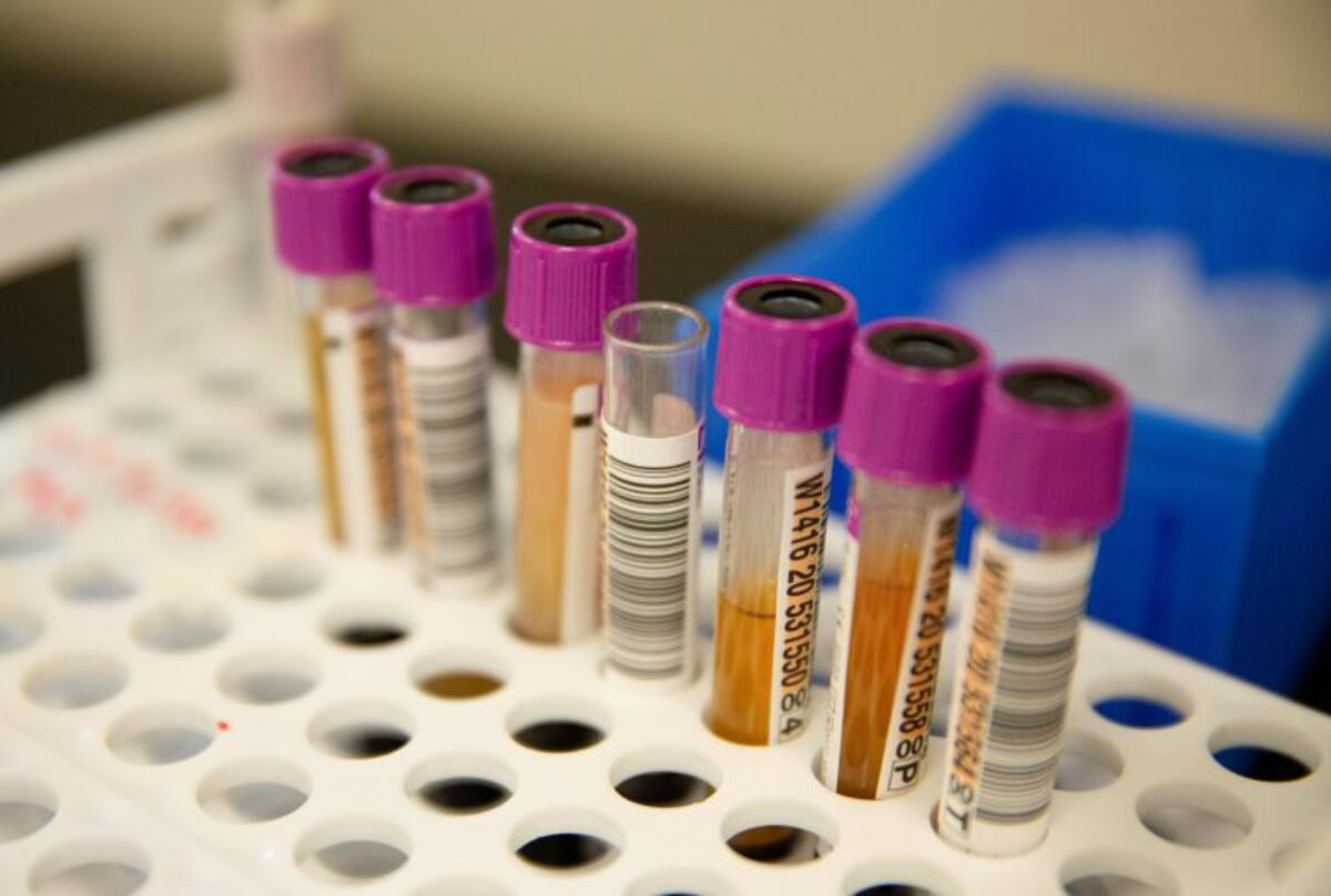Coronavirus en Salta: se registraron 195 nuevos casos y 15 muertes en la ultimas 24 horas