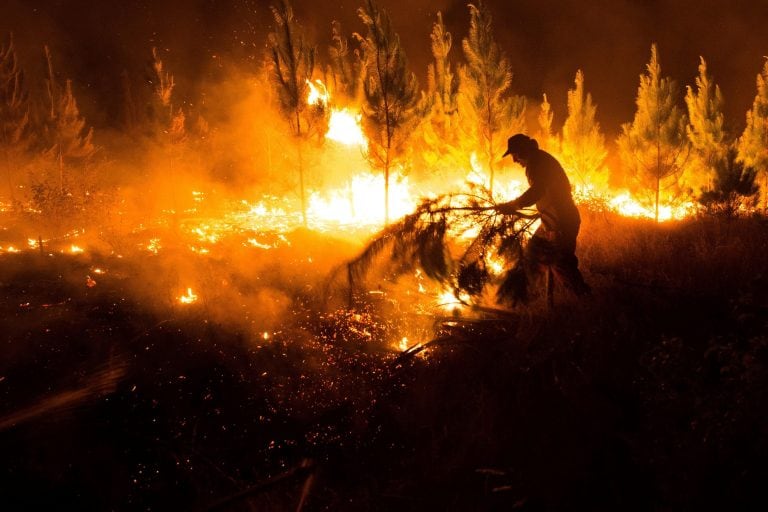 Incendios forestales en Chile (EFE)