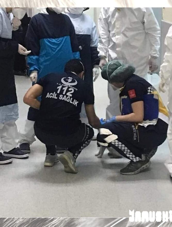 gatita pide ayuda en un hospital para su cría (Foto: Web)