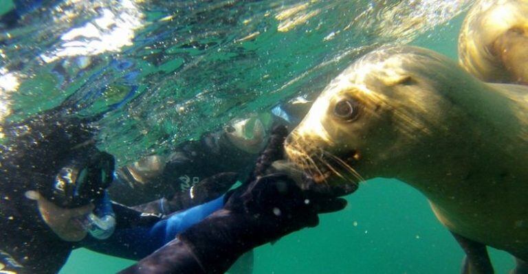 Buceo en Puerto Madryn