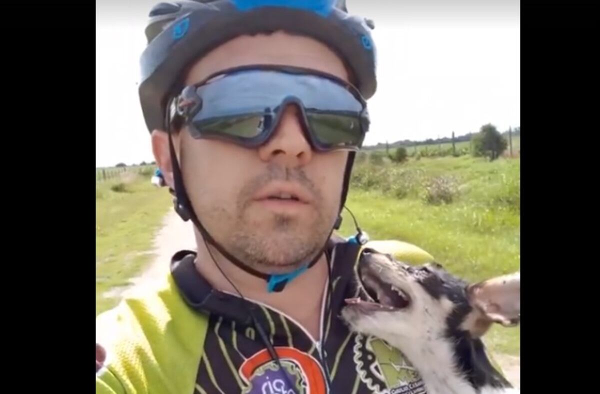 Video conmovedor: el rescate por parte de un ciclista de una perrita abandonada