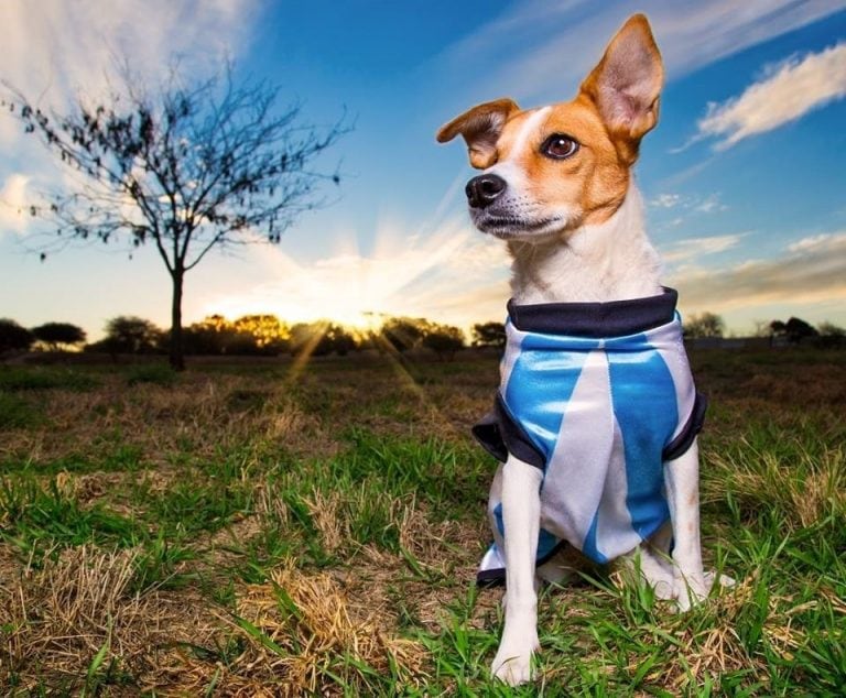 Día Internacional del Perro Callejero: la historia de Sebastián Cebreiro y su perrita Tuerti.