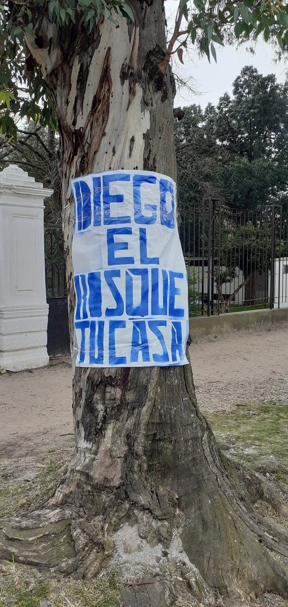 El color en la presentación de Maradona en Gimnasia (Foto: Twitter)