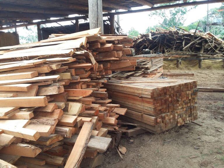 Ecología clausuró una planta y secuestró un camión con madera nativa.