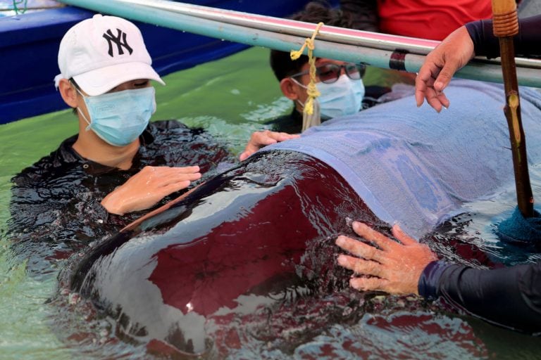 (Foto: EFE/EPA/STR THAILAND OUT)