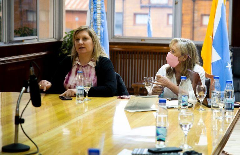 Teleconferencia Ministerios de Salud a nivel nacional en el marco del lanzamiento de la plataforma de monitoreo de tareas y Telesalud.