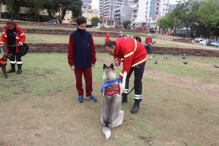 Educación canina en Carlos Paz