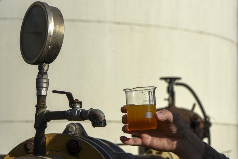 Biodiesel / AFP PHOTO / EITAN ABRAMOVICHs