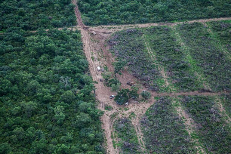 HANDOUT - Imagen aérea de una zona desmontada y una zona aún forestada en la provincia de Salta, Argentina, el 25/01/2018.
(ATENCIÓN · Para utilizar únicamente con fines editoriales, en referencia a la cobertura actual de este tema y mencionando el crédito indicado.)
(Vinculado al reportaje de dpa "Tierra al servicio de la soja: la imparable deforestación en Argentina" del 02/02/2018)
*NO ARCHIVAR. SÓLO PARA USO DE PRENSA CON EL TEXTO ADJUNTO* Foto: Nicolas Villalobos/dpa +++ dpa-fotografia +++