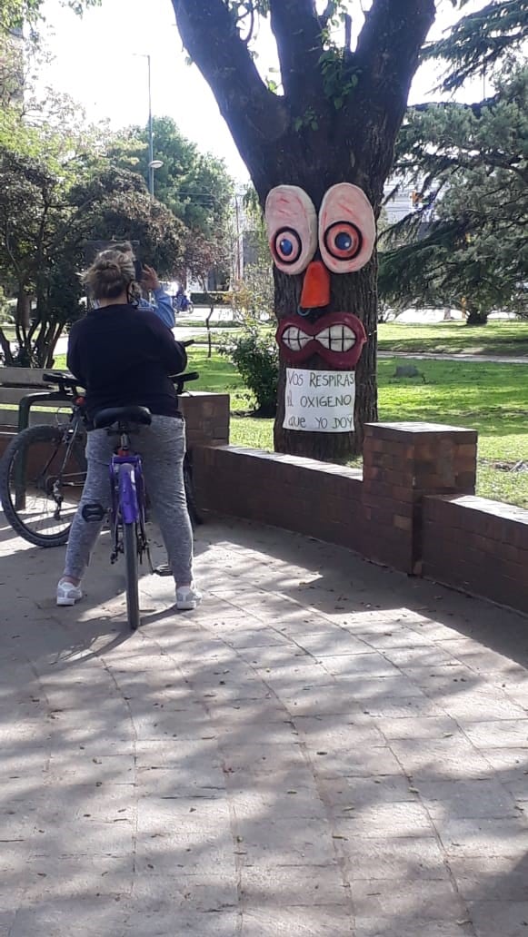 Intervención de árboles en la plaza San Martín