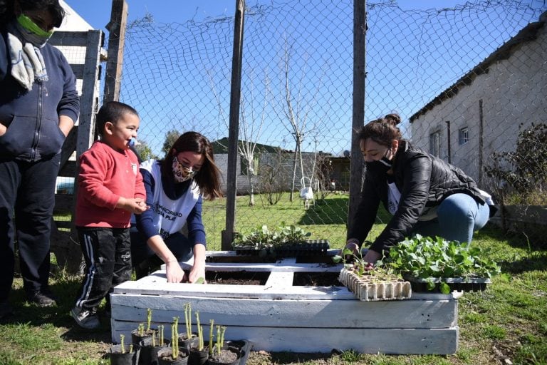 La variedad de productos sembrados es muy amplia (Municipalidad de La Plata)